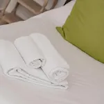 Tartarughino *