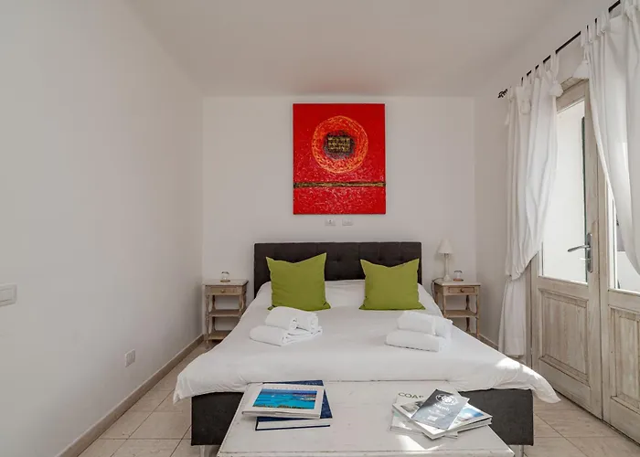 Daire Tartarughino *