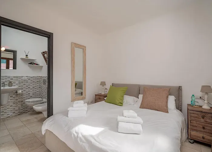 Daire Tartarughino *