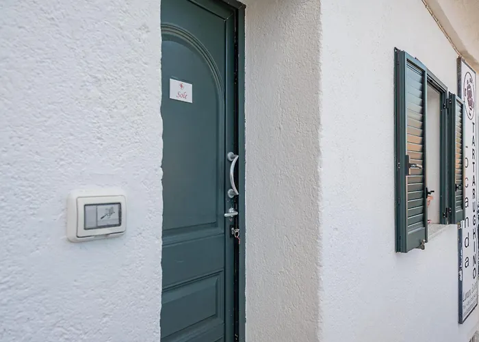 Tartarughino Daire *